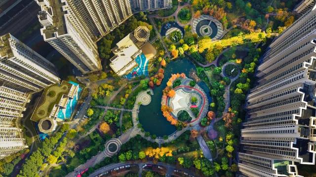 秋冬限定的普陀，美到让人流连忘返，你还不来打卡吗？