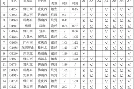 佛山西站再增夜间临客39列，助力旅客春运出行图片