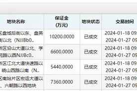 春节前南京最后一场土拍落幕 4幅地块全部底价成交图片