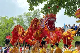 【端午】起龙！广东进入“龙舟时间”图片