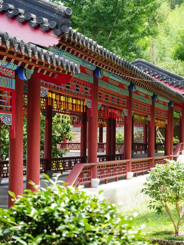 登高望远在龙虎，重阳遇见好秋光！