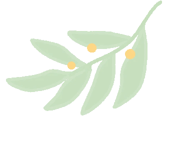 “新”之所向 未来可期 | 2024年大连开发区法院“萌新”入职记（三）图片