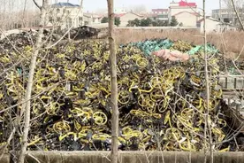 上万辆共享单车“集体失踪”！警方出手！图片