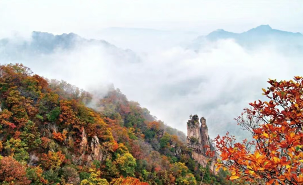 拒做“卷王”！来河南小县邂逅秋日美好｜月满华诞8天乐