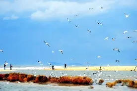 龙口那些带“黄”字的地名图片