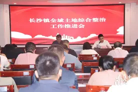 梅江区长沙镇召开全域土地综合整治专题工作会议图片