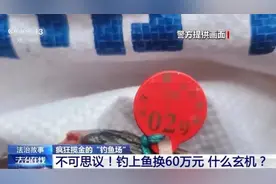 一条鱼能换60万元！警方提醒图片