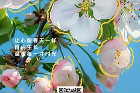 终于等到了！这份清单让清明假期不NG~图片