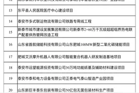 105个省级、120个市级重点项目！泰安2025年省市重点项目名单公布！图片