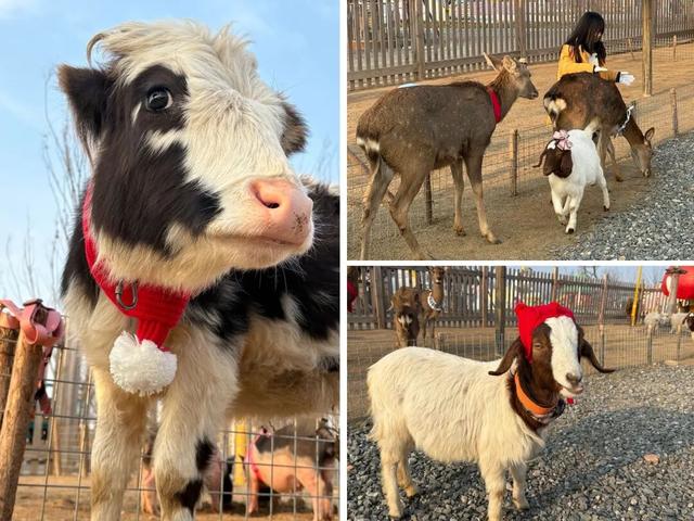 @徐州、连云港户籍市民，本周末半价！