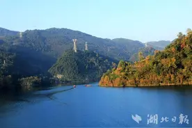 宣恩：生态红利持续释放 “绿动力”提升经济发展“含金量”图片