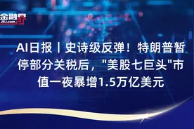 AI日报丨史诗级反弹！特朗普暂停部分关税后，"美股七巨头"市值一夜暴增1.5万亿美元视频封面