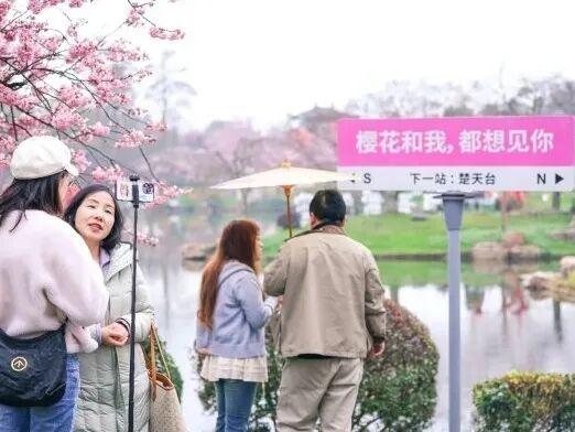 多处出现、武汉粉了！“没想到这么热闹”
