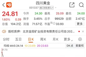 上半年净利预增超50% 四川黄金：因金精矿销量及金价上涨图片