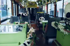 熊猫巴士+夜景漫游 “五一”观光巴士带你游山城图片