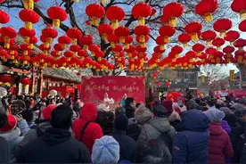 灵蛇献瑞 春满华夏——各地群众欢度春节图片