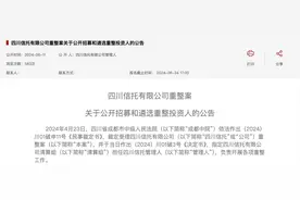 四川信托公开招募重整投资人：出资规模不少于50亿元图片