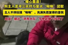 暖心重逢！狗主人苦寻三天终与爱犬“啾啾”团聚，主人不停抚摸“啾啾”，充满失而复得的喜悦，网友：烟台“寻狗大队”今晚能睡个好觉了图片