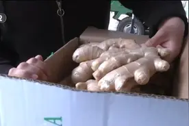 “菜篮子”价格呈现季节性下降 姜蒜供应偏紧涨势明显图片