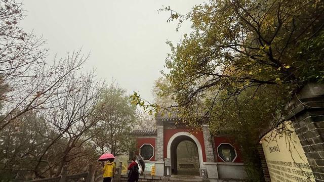 济南佛慧山：初冬木叶黄 山高雾沾衣