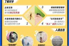 蚊子一年“杀死”72万人！人类选择生产更多蚊子……图片