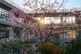 广工，开学啦！图片