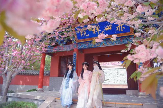 荣成清明出游全攻略，美景优惠两不误