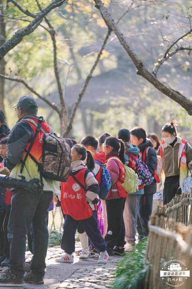 12.07 独立营｜冬日寻羽记：解码西湖候鸟的越冬密码！鸟类专家带队，探秘茅家埠“鸟类天堂”，体验听声辨鸟、飞羽寻踪的野趣周末！