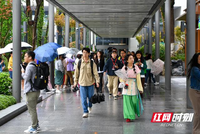 告别路边大排长龙 湖南 “馆园融合”通道今日启用