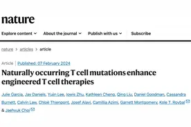 《自然》重磅：天道好轮回！科学家首次证实，让T细胞淋巴瘤变强大的基因变异，竟能将T细胞抗癌功力提升百倍丨科学大发现图片
