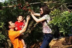 “梅鱼”CP有多诱人图片