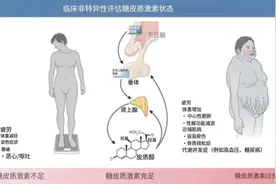 一个会让身体偷偷囤积脂肪、还让人食欲暴增的原因图片