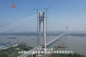 仙新路过江通道南塔下120万尾鱼苗放流长江图片