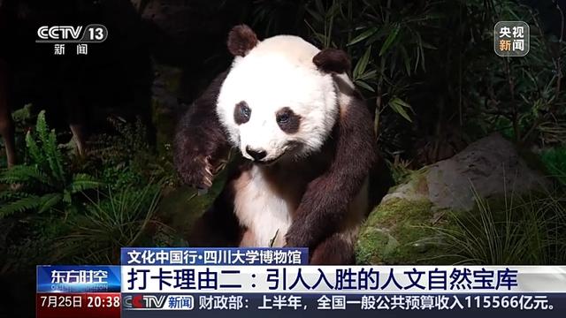 文化中国行丨这座博物馆像一部西南“百科全书” 里面有些啥宝藏？