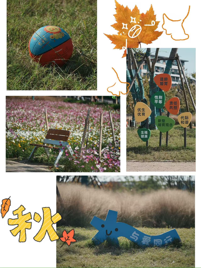 良渚荀甫路“秋花盲盒”已开！波斯菊海+治愈彩蛋，不仅好看还好拍！