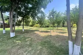 热闻|成都青龙湖土拨鼠出没？紧急提醒：不要亲密接触图片