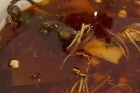 重庆网友称外卖吃出老鼠状异物，监管部门介入！商家称已报警图片