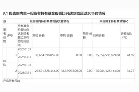中央汇金，持仓曝光！图片