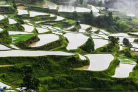 这支山区乡镇男篮，凭啥打进“村BA”全国总决赛？图片