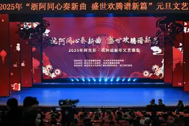 2025年阿克苏·杭州迎新年文艺晚会落幕图片
