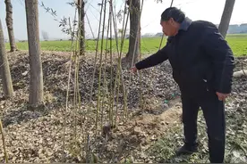 父亲被害后母亲出走17年，20岁儿子控告母亲遗弃 警方对其母向检方提请批准逮捕图片