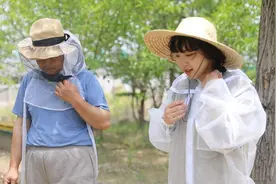 “95后”养蜂人张宁：沂蒙山上酿造甜蜜生活图片