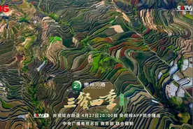 《三餐四季》云南篇今日播出：寻味山野，感受不一样的“彩云之南”图片