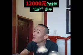 宁阳人去外地逮蟋蟀，“出产”在东平的一只虫卖了12000元图片