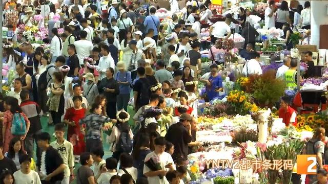 爆爆爆！昆明太火爆了，景点全是人，这里7月就涌入了162.96万人……