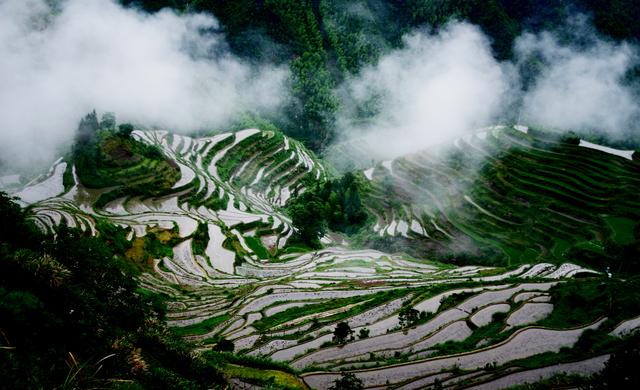 写点生活｜雨中小佐，别一番的春韵绵长