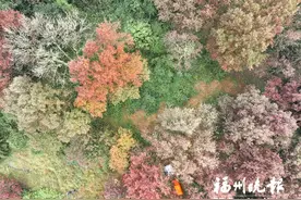 福清大化山枫叶红了图片