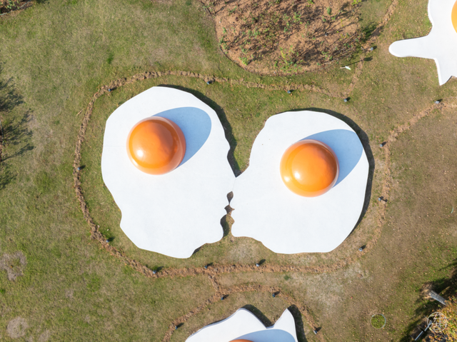 东湖「巨物」图鉴，打卡XXXXL号视觉震撼！