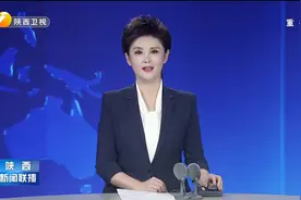 从孤羽七只到万鸟竞翔濒危朱鹮保护创造生态奇迹图片