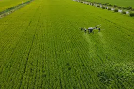 传统农业怎样告别“靠天吃饭”？周瑜代表：科技赋能，让农民钱包更鼓图片